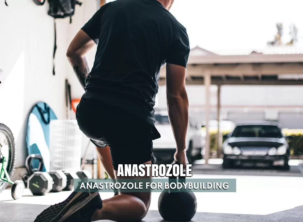 Anastrozole for bodybuilding