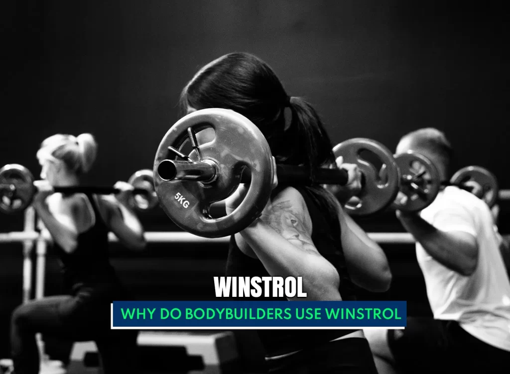 Why do bodybuilders use Winstrol
